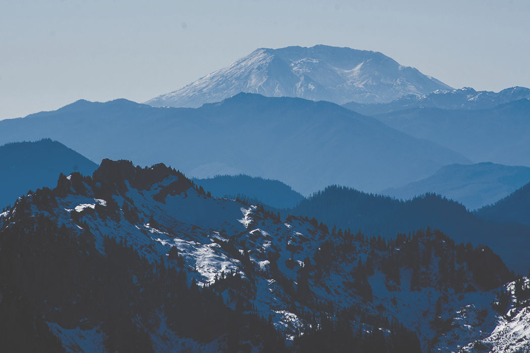 Photos: From Paradise in Mount Rainier National Park